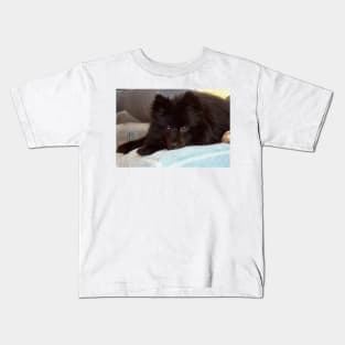 Pom Repose This little black puppy looks very innocent  until he hears the slightest noise and he is off to the races to track it down. Kids T-Shirt